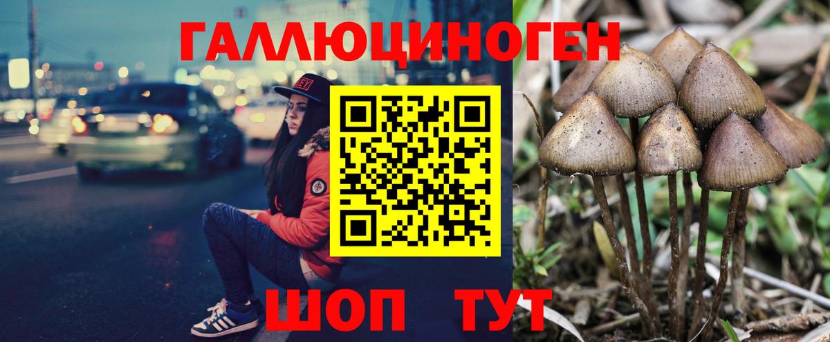 Галлюциногенные грибы ЛСД Отрадное