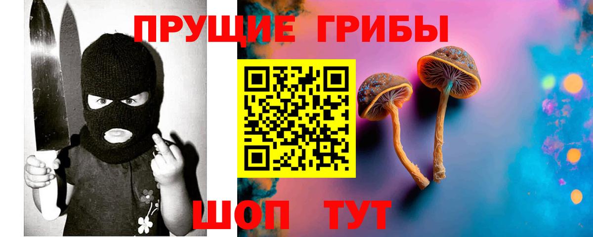 Псилоцибиновые грибы GOLDEN TEACHER  Вход с VPN  Отрадное 